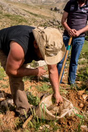 Al-Arz;Iris;Iris-Cedreti;Kaleidos;Kaleidos-images;Lebanon;Middle-East;Near-East;Tarek-Charara;Youssef-Tawk;Flowers;Endemic;Endemic-species;Critically-endangered;Critically-endangered-species